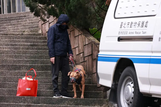 比特犬太兇禁養 經濟部3年前便管制進口