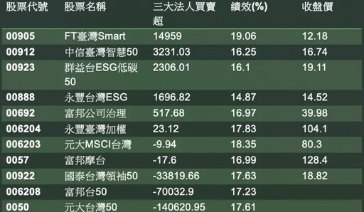 台股反彈行情中 市值型ETF績效排行大揭密