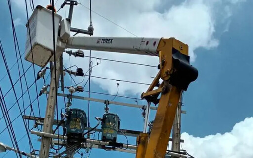 經部提醒「小動物」停電 不忘爭取台電撥補