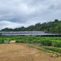 陳其邁怒喊停大樹光電案 能源署已罰150萬