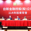新壽幣別錯配 台新金：像吃中藥慢慢調整