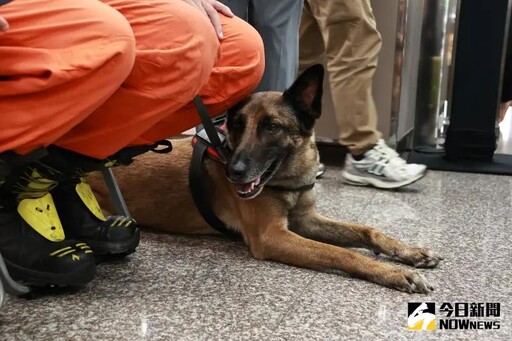 保障執勤犬 南山「專屬保險」上路