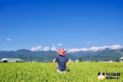 上半年國旅持續增溫 旅館房價平均降2元