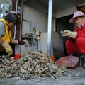 牡蠣貴一成 中秋節前恐還有一波小漲幅