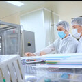 疫苗加生物相似藥 國光營收有望添動能