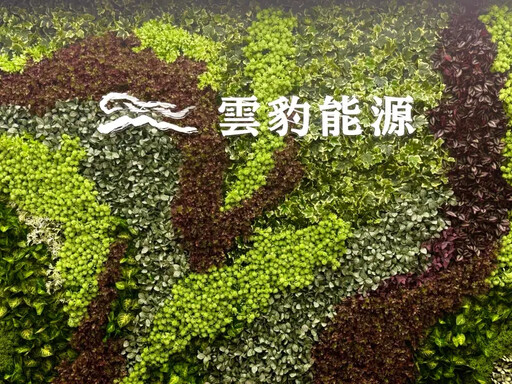 綠電、儲能雙引擎帶動 雲豹能源3策略發展