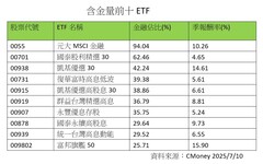 金融股反彈近1%!台新金、新光金雙漲迎合併 高含金量ETF一表掌握