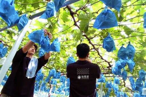 跨國契作農園新潮流 讓消費者更有保障