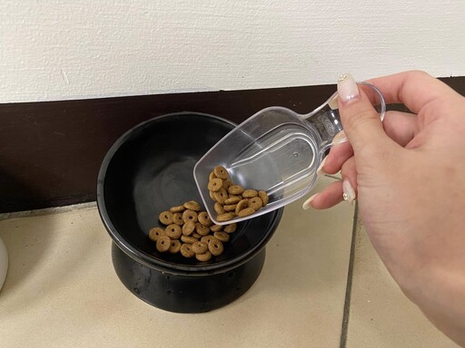 奴才為毛小孩扛飼料腰痠背痛？網推妙招省去麻煩採購