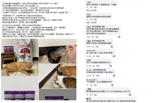 奴才為毛小孩扛飼料腰痠背痛？網推妙招省去麻煩採購