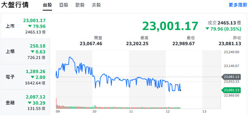 美股休市 傳產股弱勢拖累台股翻黑、盤中力守23000點