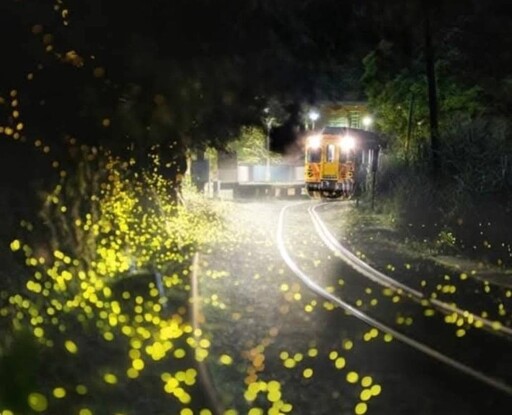 春至瑞芳新玩法 北岸民宿潛水客青睞