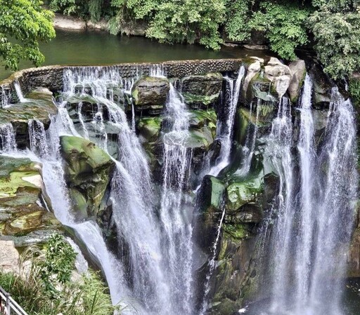 春至瑞芳新玩法 北岸民宿潛水客青睞