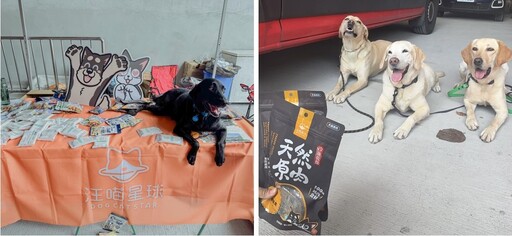 台西跨國打造搜救犬訓練營 西班牙教官來台傳授技術 汪喵星球挺毛英雄訓練無後顧之憂