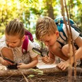 親子共遊X綠色教育！華友「峇里島Green Camp」打造最強夏日親子行程