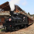 「嘉義親子鐵道之旅」暑假登場！翁章梁邀搭限定蒸汽火車 森呼吸！