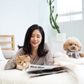 寵物新時代！《歸毛家族》推出全新保健品定期購服務 健康與便利雙贏
