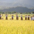 台東伴手禮人氣飆升 天然風味掀起熱潮