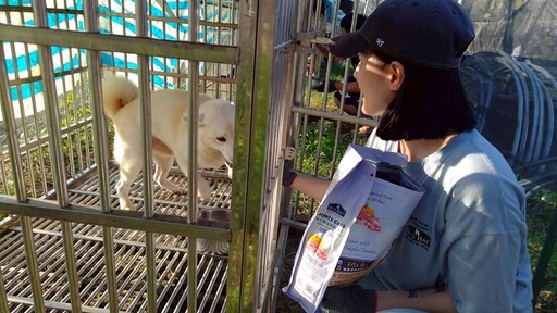 柴犬聯盟送暖 倍力響應捐糧助淹水狗園