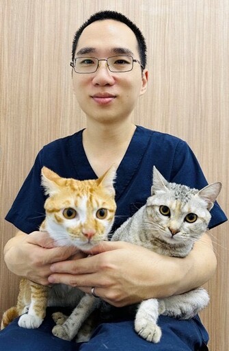 陳重威獸醫師研發MGRS手術 提供貓咪齒齦口炎治療新選擇