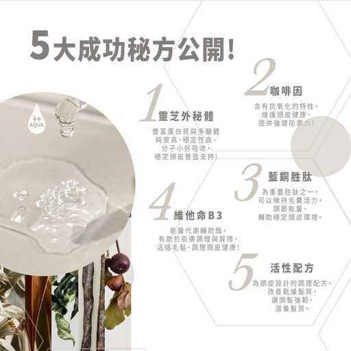 健康養髮新趨勢 咖啡因結合靈芝外泌體配方引關注