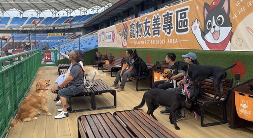 毛英雄陪球迷加油!搜救犬走進球場應援公益行動