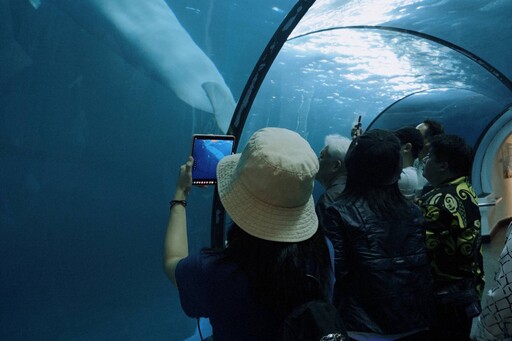 屏東綻放國際魅力！邀韓國媒體、旅行業者深度踩線 感受南國熱情與城市風光