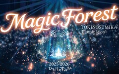 550萬顆燈光點亮「魔法森林」日本最靠近富士山的冬季燈飾節開幕