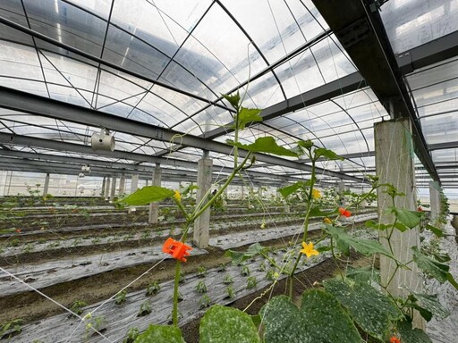 賓威能源全台首場「溫室及植物環控栽培設施示範案場啟用