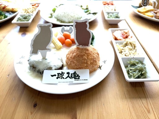 《排球少年!!》FANFANS CAFE 主題咖啡廳正式揭幕 五大校齊聚打造多項合作餐飲