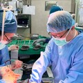 女兒捐肝救父 術後7天生龍活虎