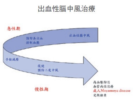 化解腦血管危機 出血性腦中風與毛毛樣腦血管病