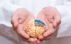 「鉀」攝取量與中風風險