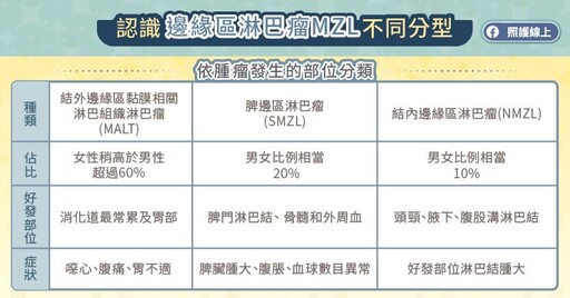 突破治療困境！新一代口服標靶BTK抑制劑，為邊緣區淋巴瘤MZL患者帶來治療新曙光，血液腫瘤專科醫師圖文解說