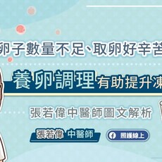 卵子數量不足、取卵好辛苦！養卵調理有助提升凍卵品質，張若偉中醫師圖文解析