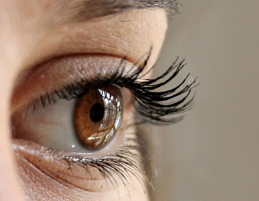 10歲女童「轉動眼睛就痛」 一事引爆眼窩蜂窩組織炎險要命