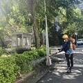 10月底還爆登革熱 北市「中正區」淪陷！熟女發燒、頭痛感染源不明