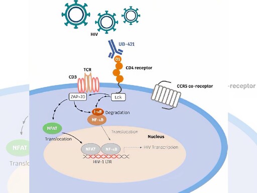 愛滋新藥UB-421成果獲刊自然醫學期刊 聯生藥挹注強力動能