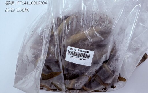 進補變吃毒！中國進口「活泥鰍」爆禁用抗生素 遭攔2268公斤