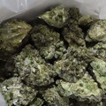 美國進口「鮮酪梨、生蠔」重金屬連環爆！ 食藥署公布3問題品項