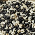 藥食同源又一突破！ 台灣最新研究「芝麻素」有抑制膀胱癌轉移潛力