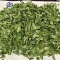 米其林推薦餐廳也爆農藥超標！ 祥和蔬食、非常泰上榜