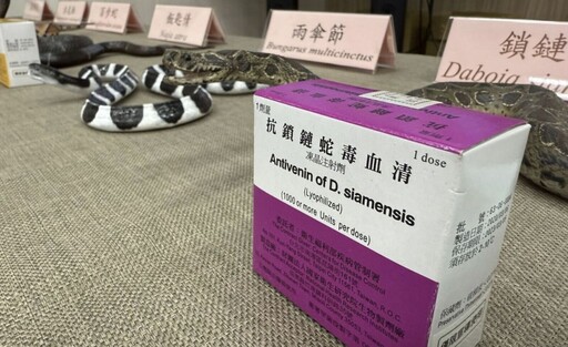 「龜殼花3天咬傷2人」急診血清沒了？ 羅一鈞：庫存夠用一年半