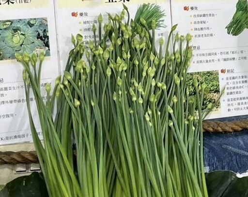 北市抽驗！「榴槤」連爆重金屬鎘超標 最毒「韭菜花」2農藥違規