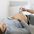 孕媽咪小心！肚臍、肚皮冒「一狀況」 妊娠蕁麻疹恐已上身