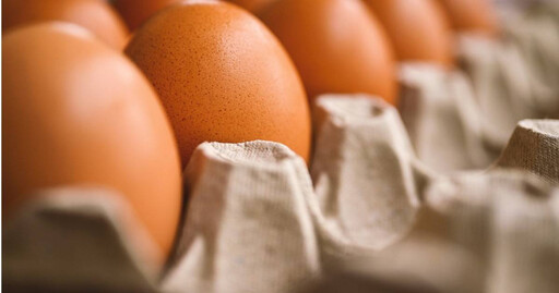 雞蛋怎麼吃？ 營養師曝這樣吃「吸收率99％」：一天2到3顆
