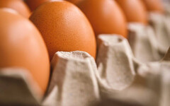 雞蛋怎麼吃？ 營養師曝這樣吃「吸收率99％」：一天2到3顆