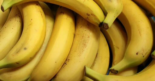 水果迷思…香蕉比芒果更甜「熱量高」 醫揭關鍵原因
