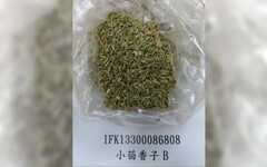 小磨坊出包！大陸進口「小茴香子」農藥超標4倍 2.4萬公斤退運銷毀