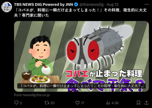 蒼蠅停在食物上數秒還能吃？ 日本衛生專家：揮手趕走照吃